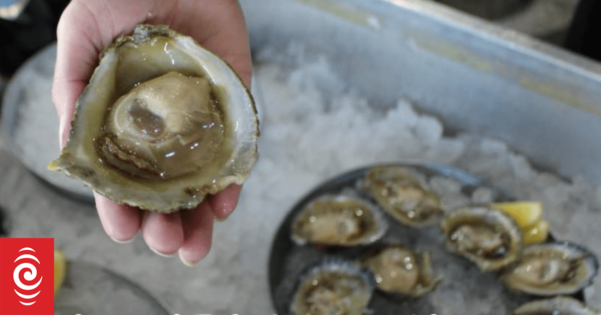 Waimana Marine fined $24,000 for moving Bluff oyst