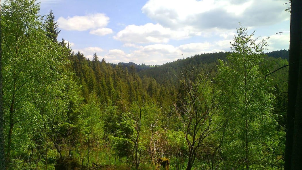 Chodová Planá, Czech Republic