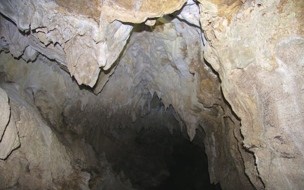 Abbey Caves, Whāngarei