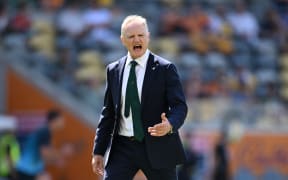 Australian coach Joe Schmidt reacts