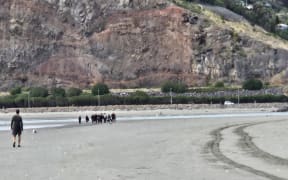 A number of people standing on a beach from far away.