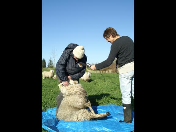 4rezfk0 gallery image 1125