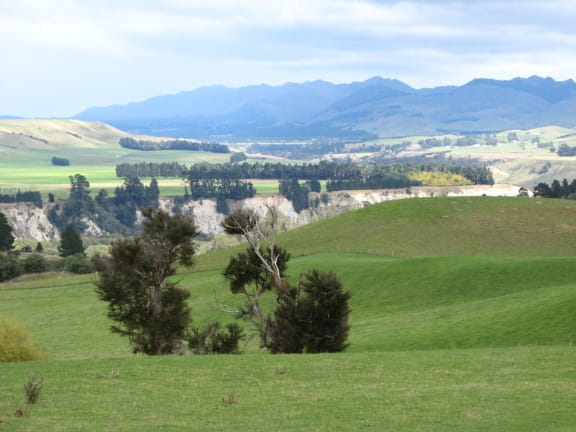 Looking towards the Ngaruroro River over the farm 'Paranui'