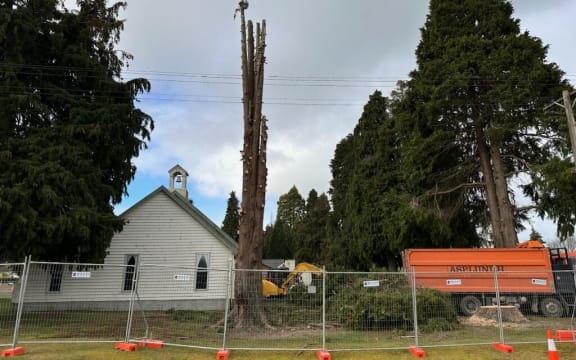 Lumsden Tree Lovers members protested the felling of Lawson Cypress trees dating back more than 100 years near the Lumsden Presbyterian Church.
Photos: Supplied/Kim Spencer-McDonald