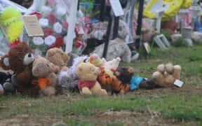 The damage had been cleaned up when RNZ visited the cemetery.