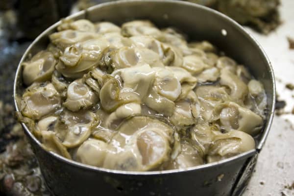 Marina Fish & Oysters skipper Greg Mead says they can never keep up with the demand during the first month, regardless of what the season is like.