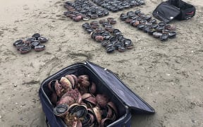 A diver has been caught with 249 pāua in Kaikōura - nearly 50 times the daily limit.