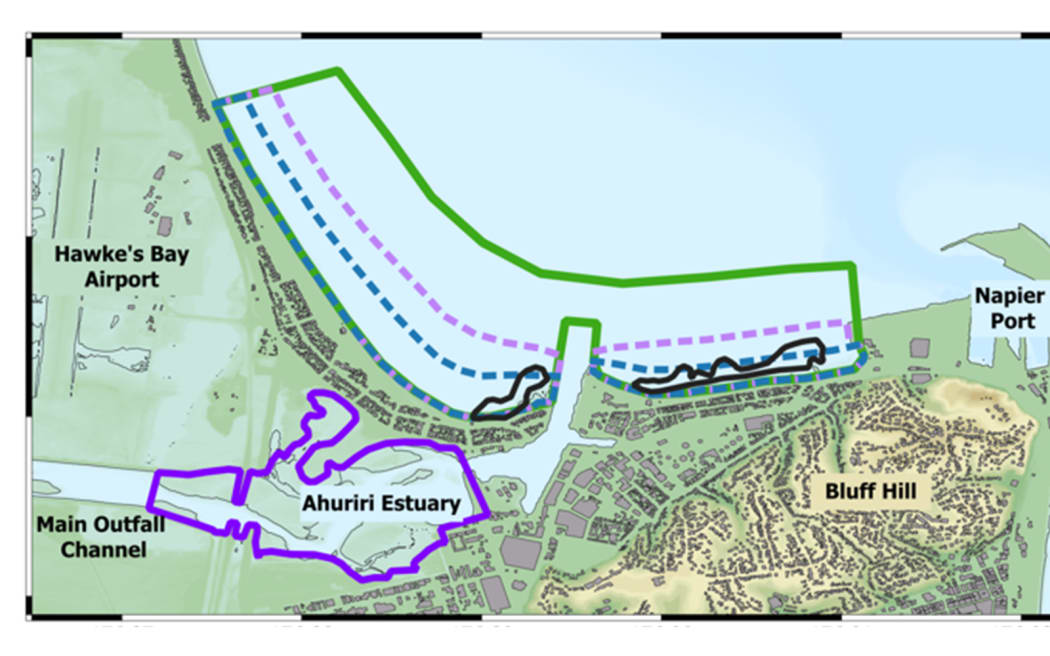 A map showing vegetation areas in Napier that were applied in the tsunami simulation.