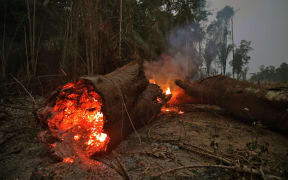 Fire in the Amazon rainforest, near Abuna, Rondonia state, Brazil, August 24, 2019.
