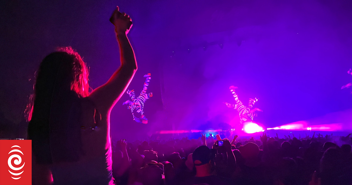 Review: Electric Avenue music festival at Hagley Park Christchurch - Vimarsana News