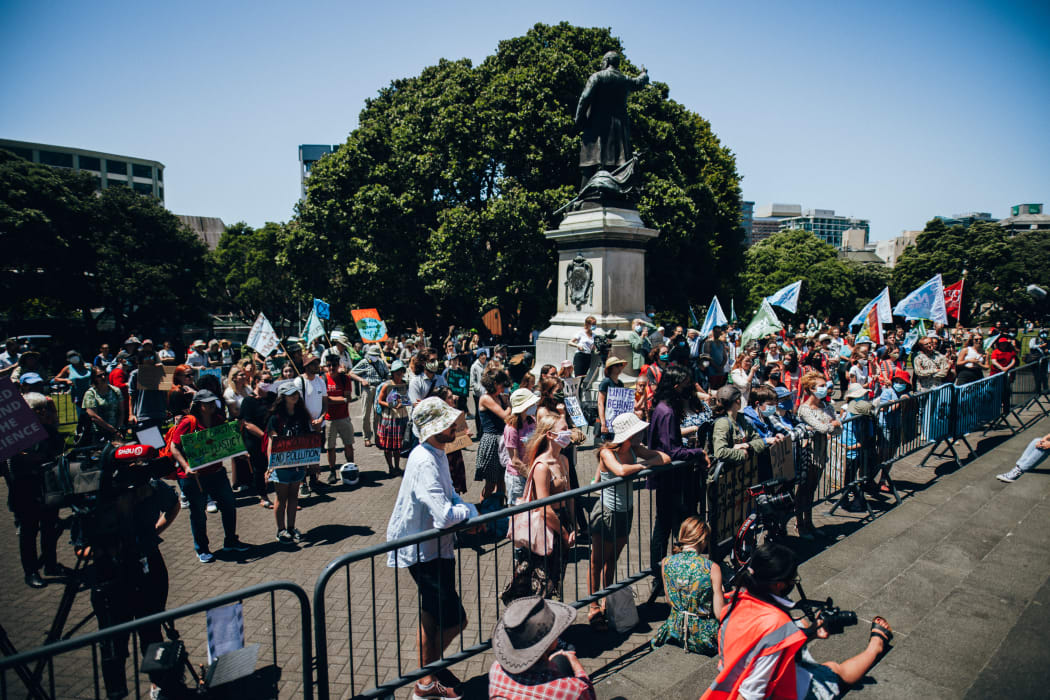 People gathered outside parliament for the School Strike 4 Climate on 26 January, 2021.