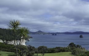 Coromandel, New Zealand