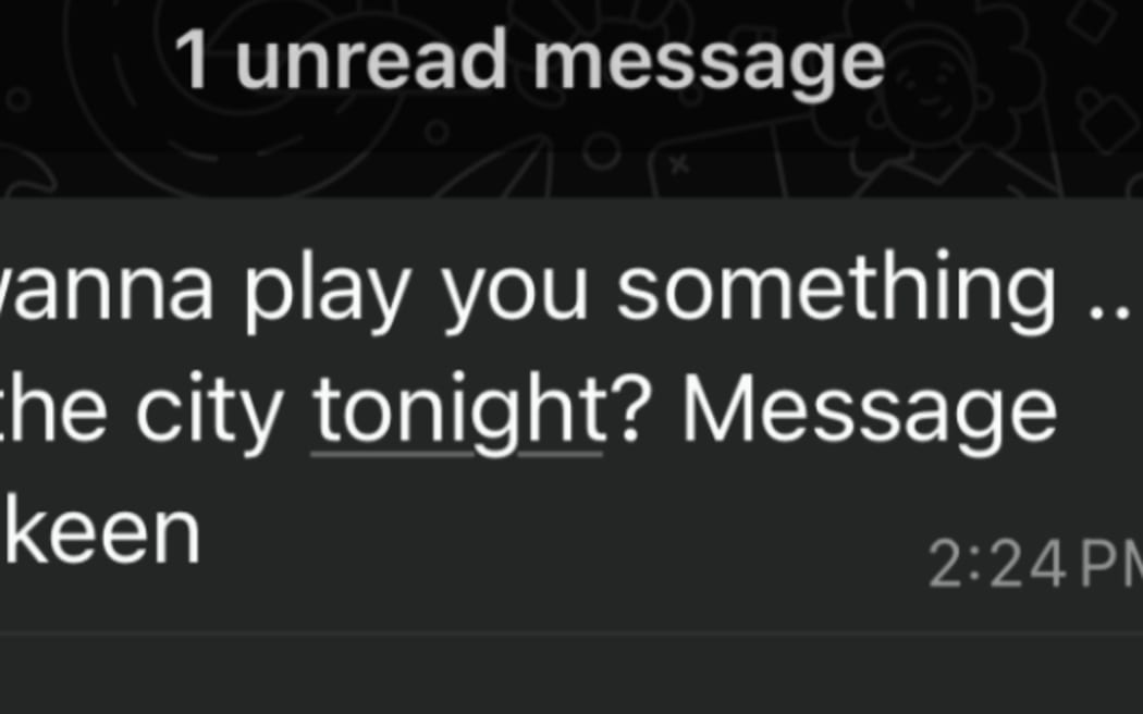 A message sent to Lorde fans in a WhatsApp group on Wednesday afternoon, 28 May 2025.