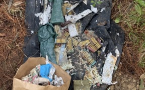 Metal detectorist finds guns in Wellington