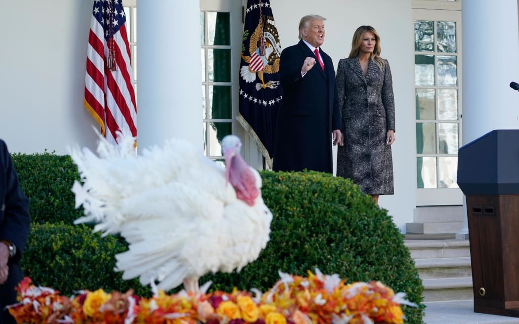 President Donald Trump speaks before pardoning Corn, the national Thanksgiving turkey, in the Rose Garden of the White House on November 24, 2020.