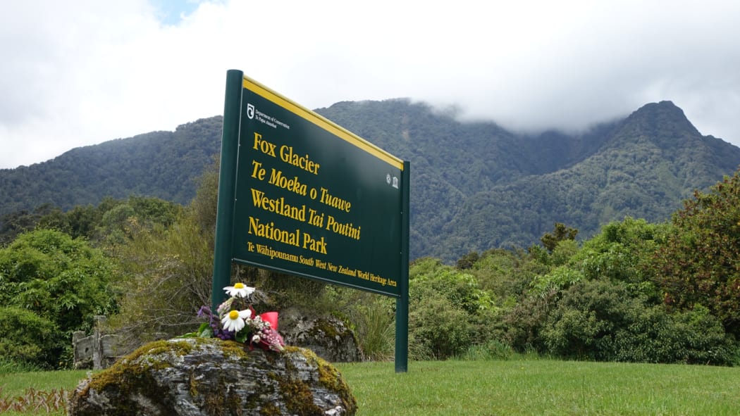 A single bunch of flowers by the entrance to the Fox Glacier.