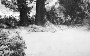 Snow at Hampton, 148km west of Sydney.