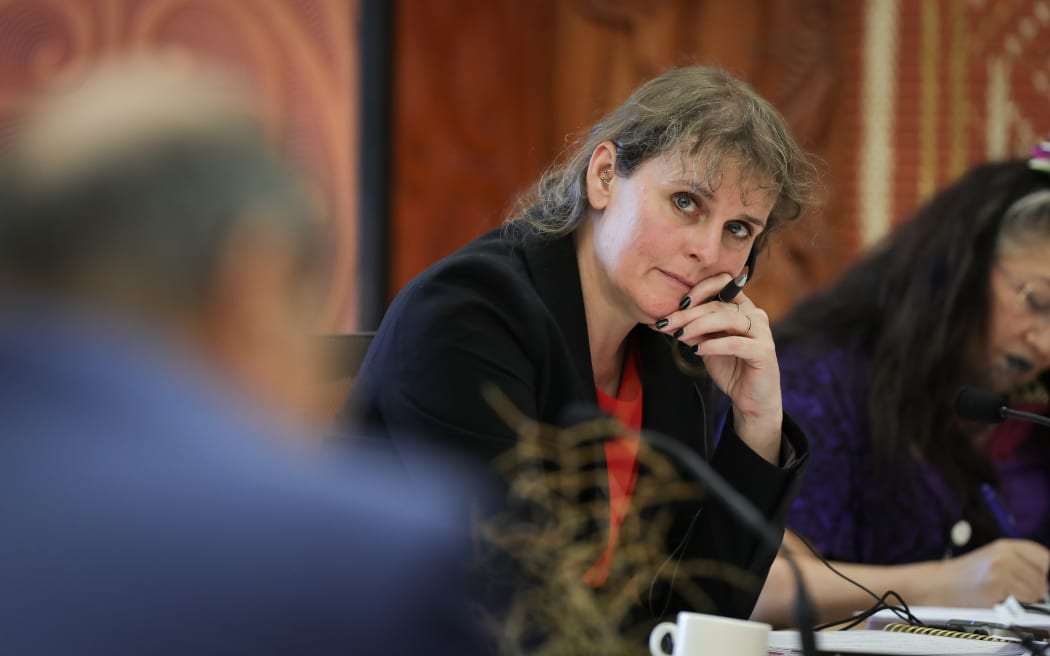 Labour MP Sarah Pallett listeniing to evidence in Select Committee