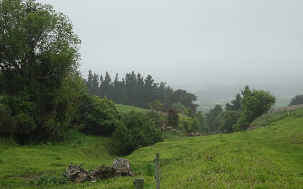 Land where a scattering of limestone caves and Ngāi Tahu rock art near Timaru is undergoing restoration work.