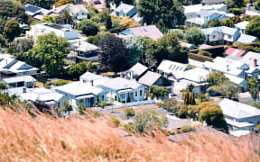 Houses as seen from Mount Eden summit in Auckland, New Zealand.