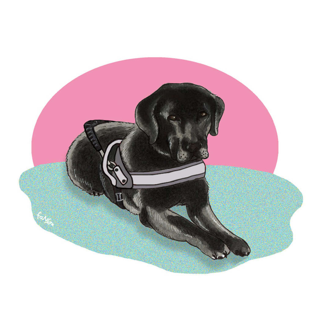Pinky Fang's illustration of her dog Lyric