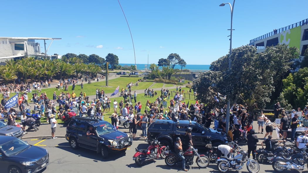 Anti vaccination mandate protesters at Puke Ariki in New Plymouth in November last year. (2021)
