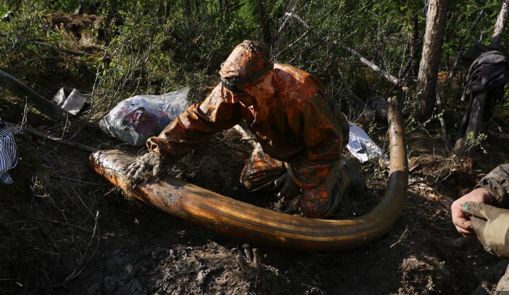 Mammoth tusk prospector an image from Amos Chapple's photo essay