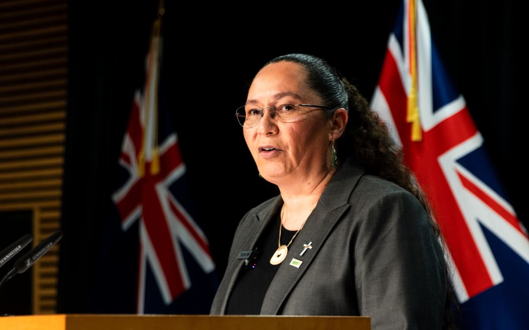 Associate Justice Minister Nicole McKee announcing details of proposed gun law reforms on 11 November 2025.