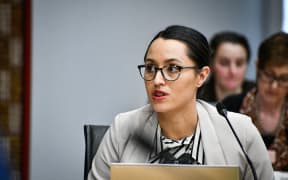 Tania Tapsell has asked some serious questions of the Government over our emergency housing “progress”. Photo / Laura Smith
