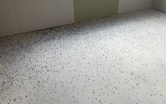 "Set off some fly bombs on site last night. Came in to this this morning." Jeremy Long