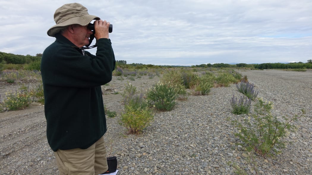 Nick Ledgard searches for birds along the Ashley River.