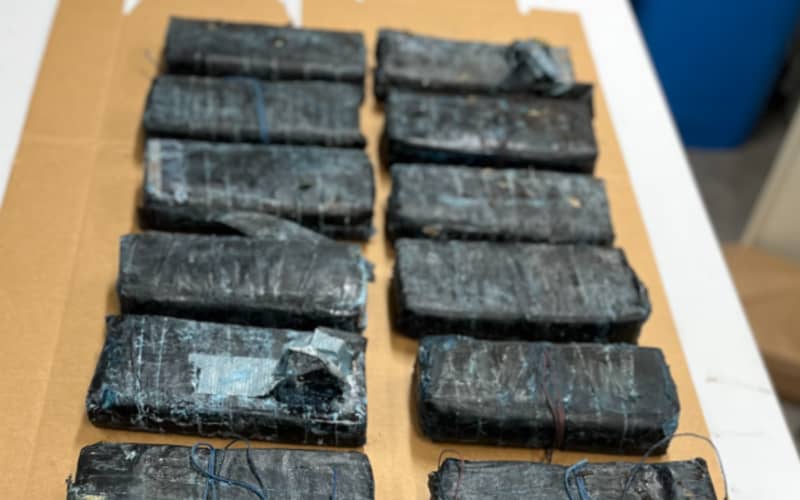 More than 25kg of cocaine seized in Christchurch | RNZ