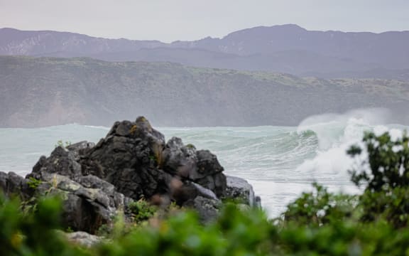 Wellington weather