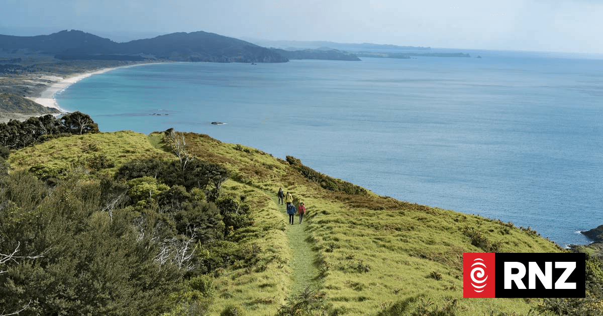 Talk the Walk: Te Whara Track | RNZ