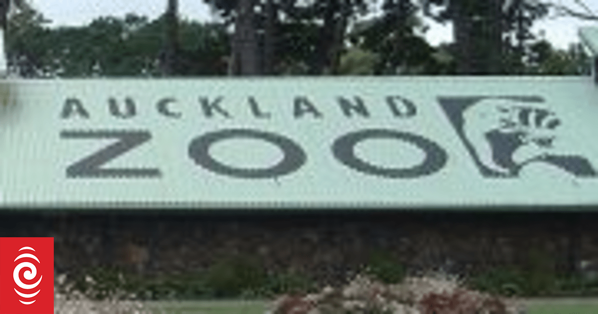 Feuerwehrleute bekämpfen Brand im Zoo von Auckland