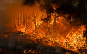 Fire burns along a hillside during firefighting operations to battle the Kincade Fire in Healdsburg, California on 26 October, 2019.
