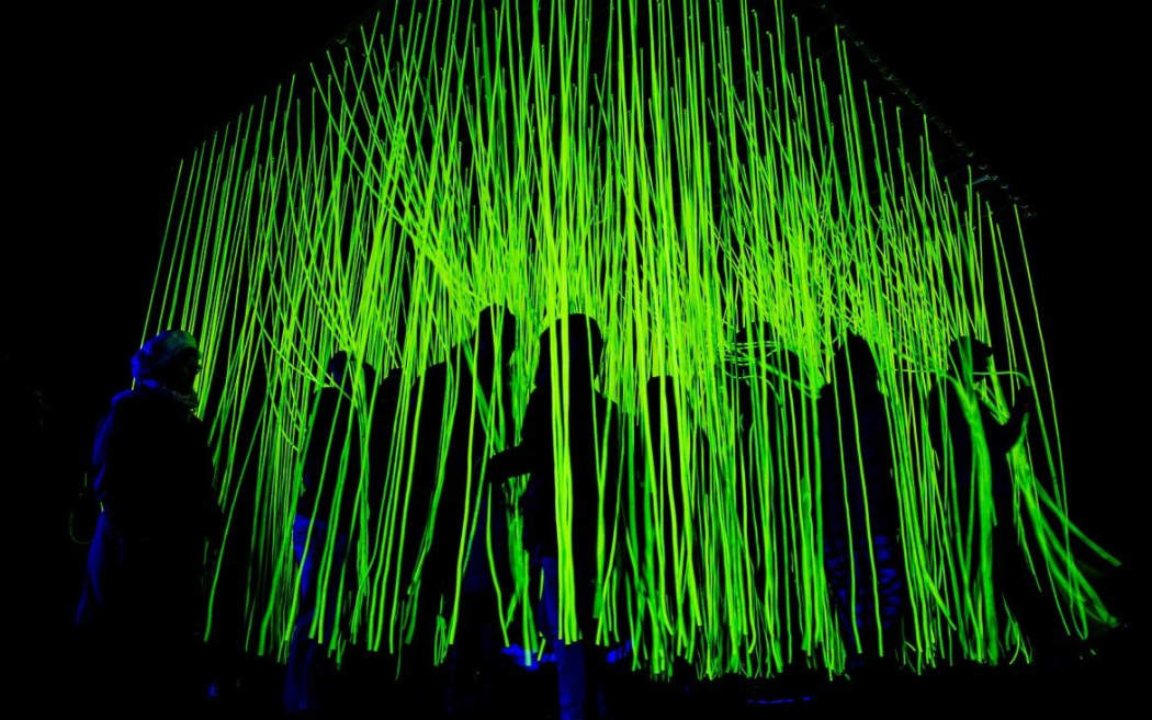 Festival of lights hot sale new plymouth