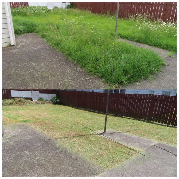 Joel Cross transformed this lawn in Kaitāia, Northland.