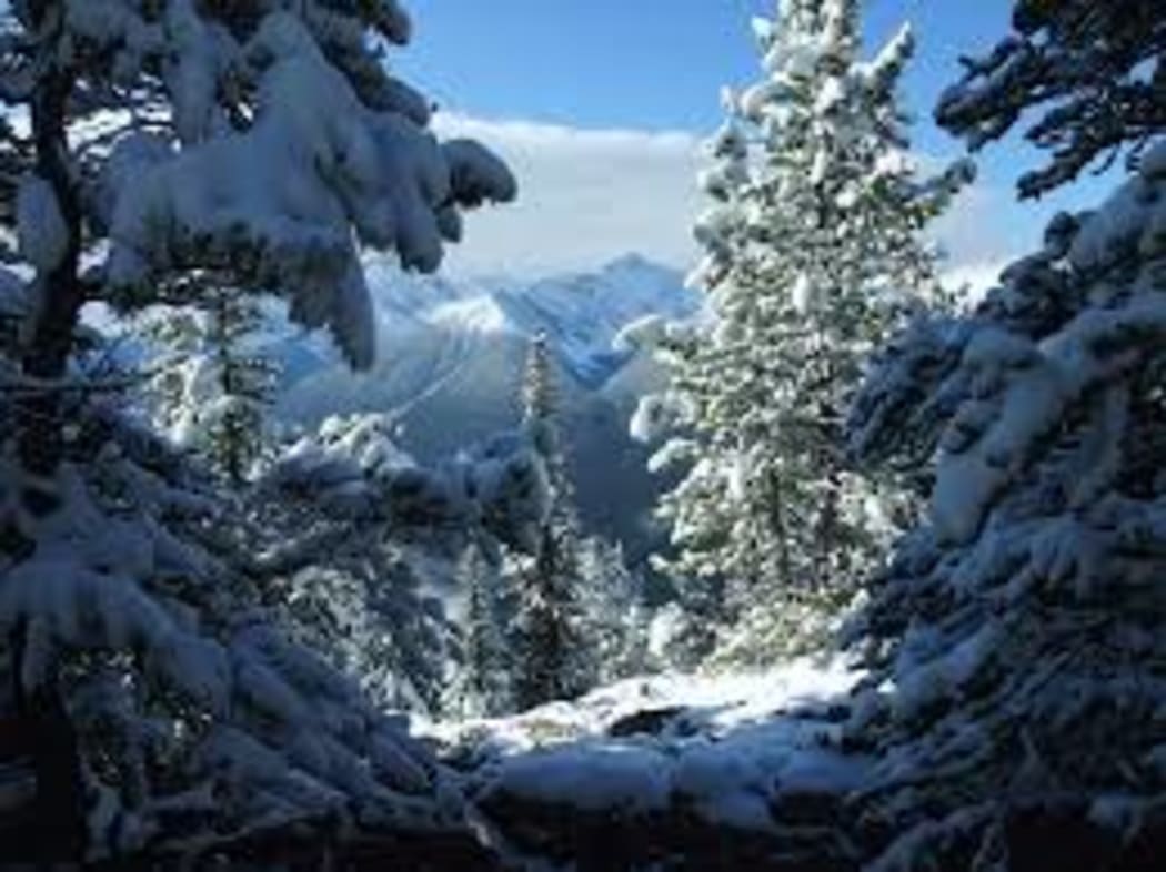 Canada Snow