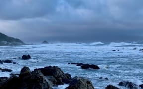 Waves on Wellington's south coast this morning.