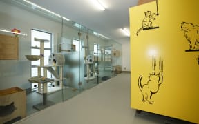 Some of the rooms at Pet Refuge