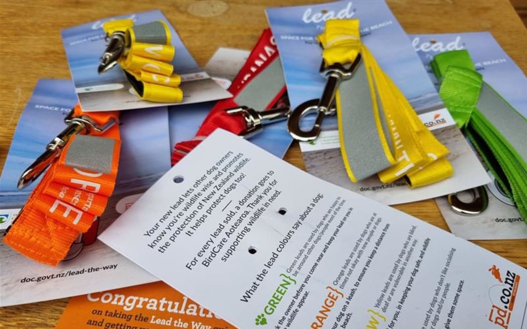 DOC collateral for Lead the Way campaign to protect wildlife from dogs