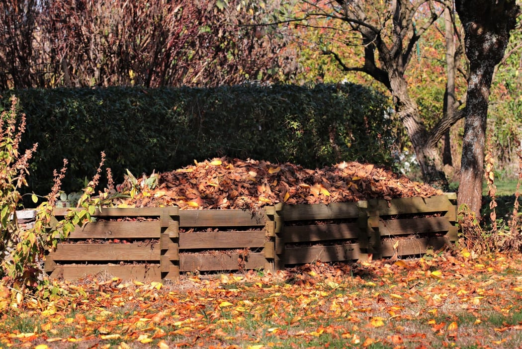Compost pile