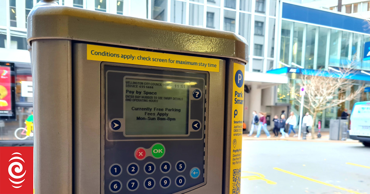 Wellingtonians get free parking after city wide meter glitch RNZ