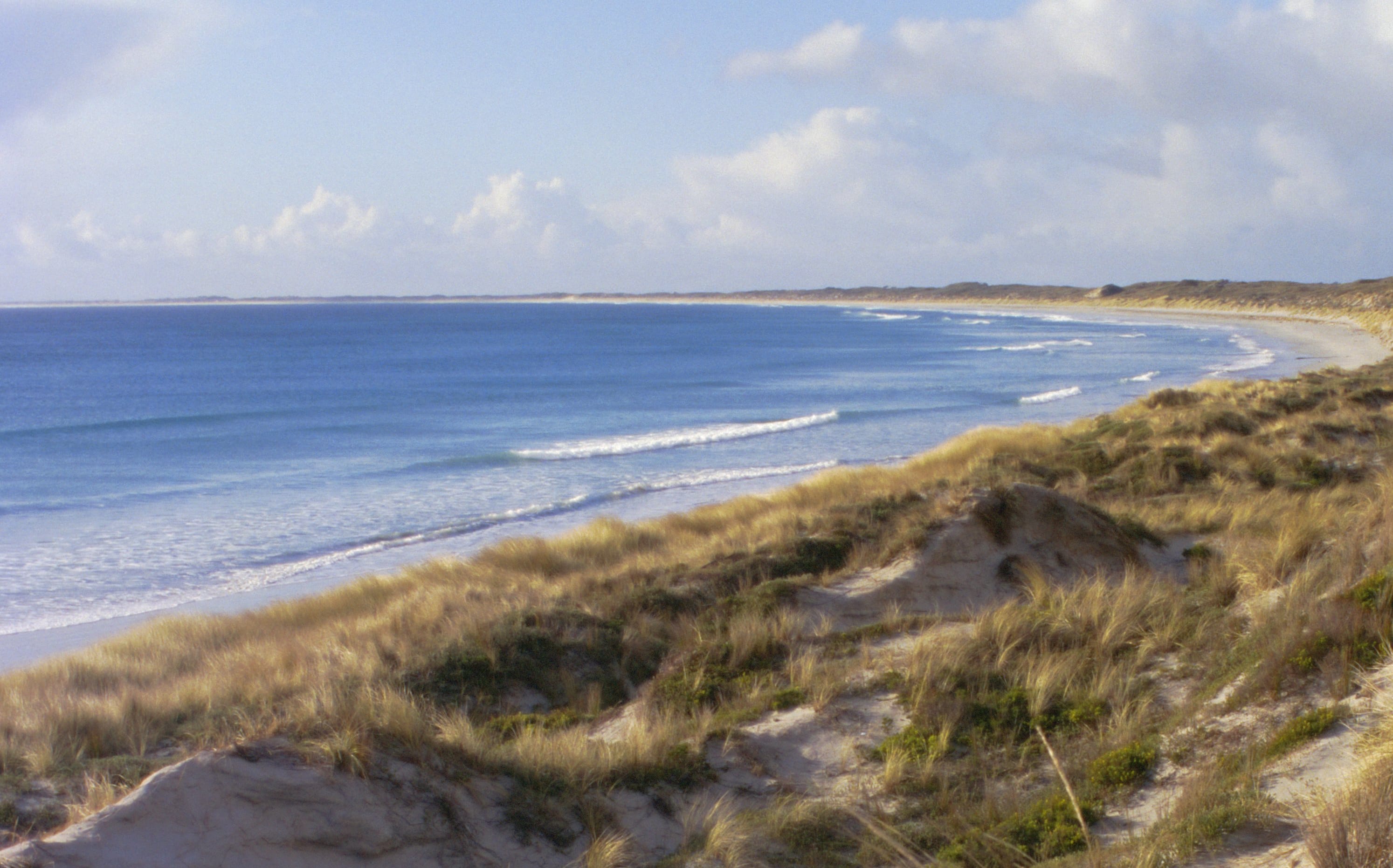Northern beach, Chatham Islands