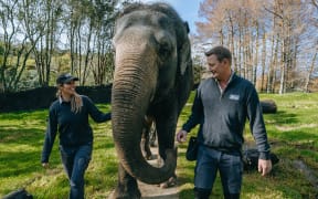 Burma the elephant with her keepers Andrew and Corryn Coers