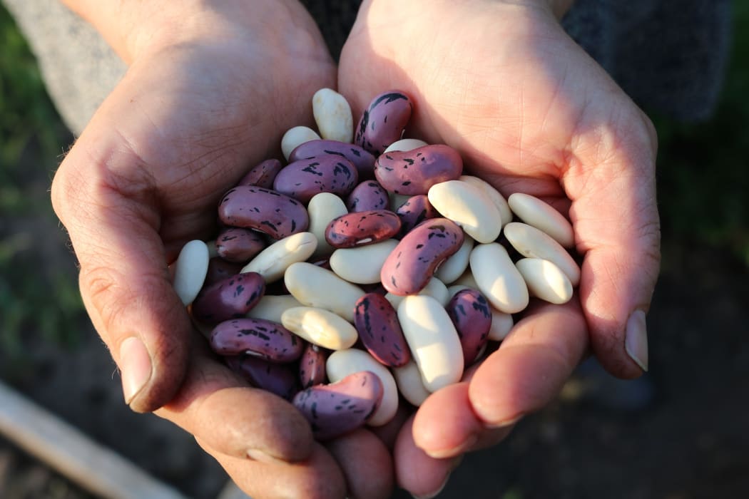 hands with beans