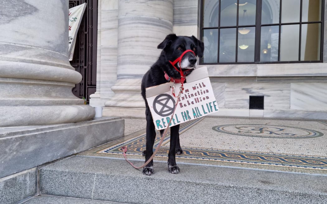 The Extinction Rebellion climate protesters were accompanied by a canine companion.
