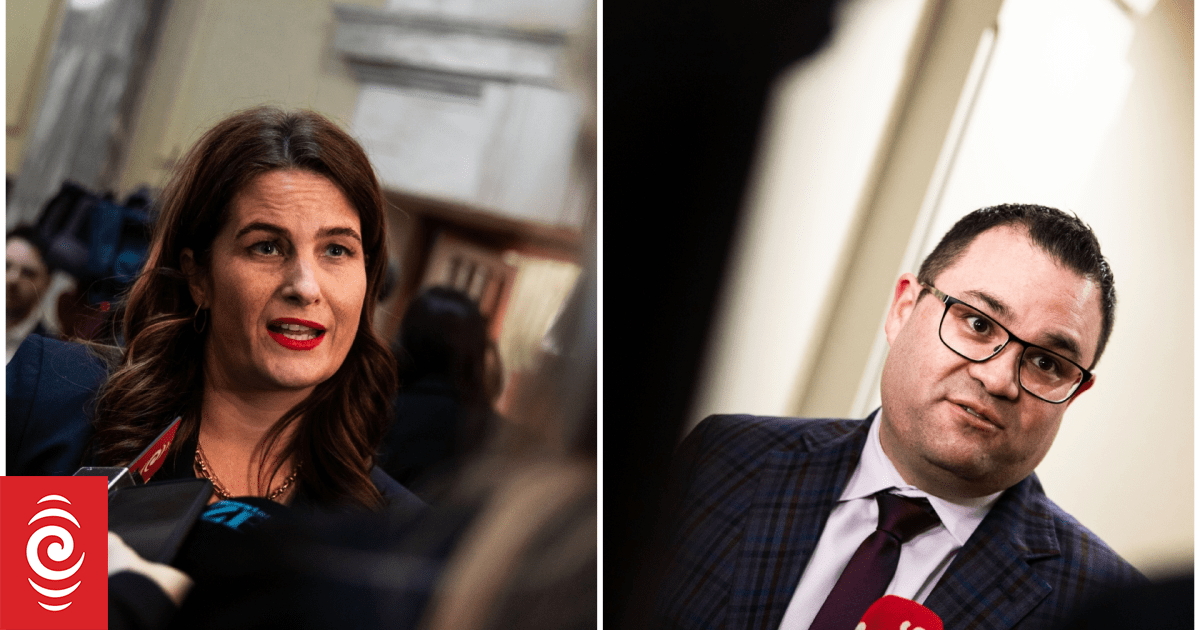 Morning Report political panel: Nicola Willis and Tangi Utikere talk polls and food prices