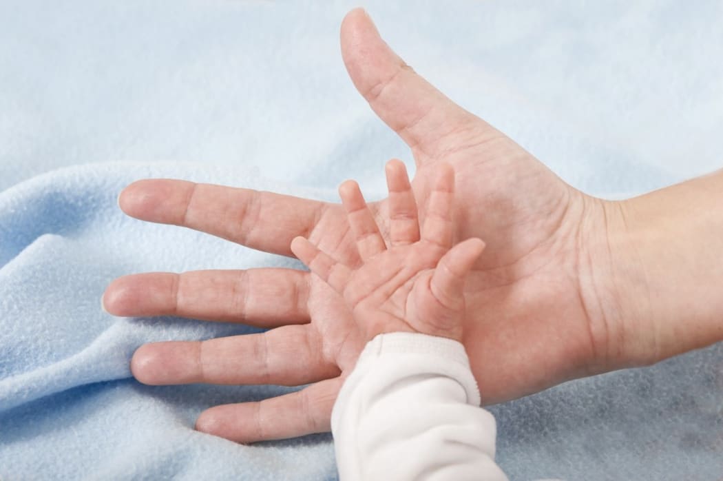 Parent holding newborn baby's hand. (Photo by LEA PATERSON/SCIENCE PHOTO LIBRA / LPA / Science Photo Library via AFP)